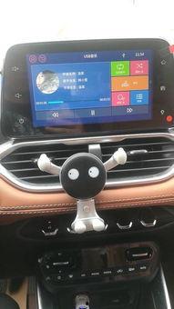 车载视频是什么格式的,常见格式解析与应用