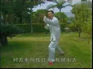 散打基本功视频,视频教程解析与实战技巧